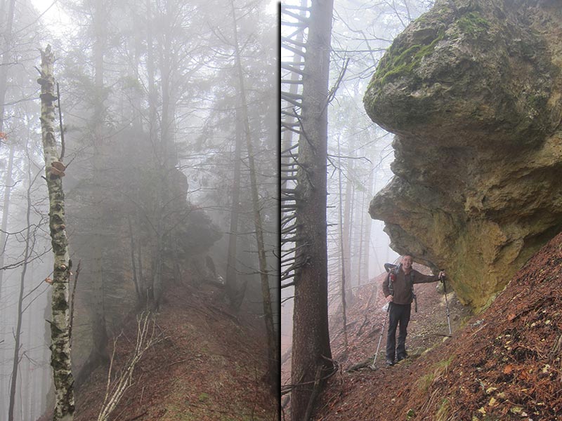 Hiasbauernhöhe